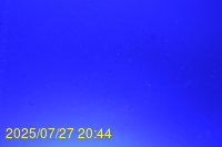 Img20250727_204436.jpg