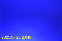 Img20250727_204936.jpg