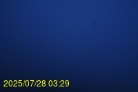 Img20250728_032937.jpg