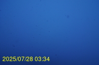 Img20250728_033437.jpg