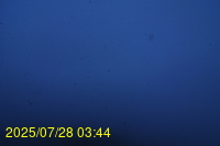 Img20250728_034437.jpg