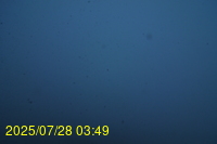 Img20250728_034937.jpg