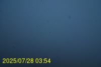 Img20250728_035437.jpg