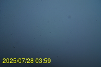 Img20250728_035937.jpg