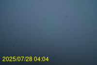 Img20250728_040437.jpg