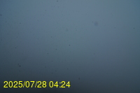 Img20250728_042437.jpg