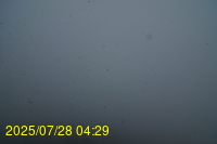 Img20250728_042937.jpg