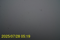 Img20250728_051937.jpg