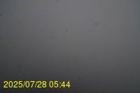 Img20250728_054437.jpg