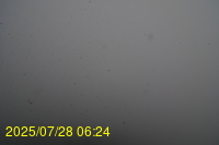 Img20250728_062437.jpg