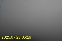 Img20250728_062938.jpg
