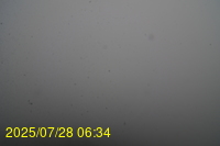 Img20250728_063438.jpg