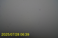 Img20250728_063938.jpg