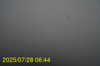 Img20250728_064438.jpg