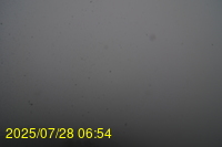Img20250728_065438.jpg