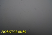 Img20250728_065938.jpg