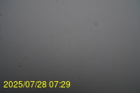 Img20250728_072938.jpg