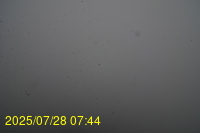 Img20250728_074438.jpg