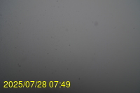 Img20250728_074938.jpg