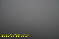 Img20250728_075438.jpg