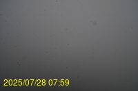 Img20250728_075938.jpg