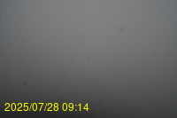 Img20250728_091438.jpg