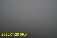 Img20250728_095438.jpg