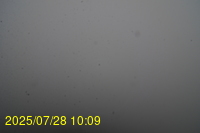 Img20250728_100938.jpg