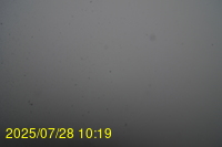 Img20250728_101938.jpg