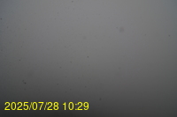 Img20250728_102938.jpg