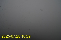Img20250728_103938.jpg