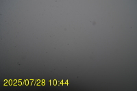 Img20250728_104438.jpg