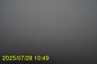 Img20250728_104938.jpg