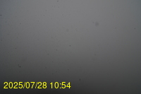 Img20250728_105438.jpg
