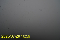 Img20250728_105938.jpg
