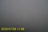 Img20250728_113938.jpg