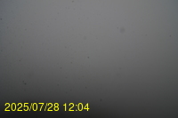 Img20250728_120438.jpg