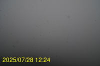 Img20250728_122438.jpg