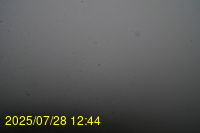 Img20250728_124439.jpg