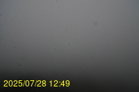 Img20250728_124939.jpg