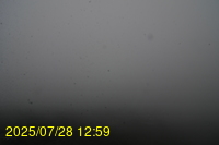 Img20250728_125939.jpg