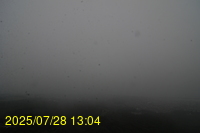 Img20250728_130439.jpg