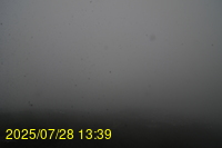 Img20250728_133939.jpg