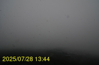 Img20250728_134439.jpg