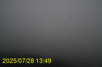 Img20250728_134939.jpg