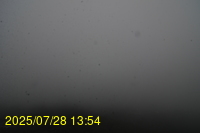 Img20250728_135439.jpg