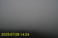 Img20250728_142439.jpg