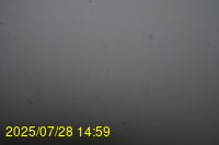 Img20250728_145939.jpg