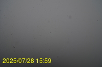 Img20250728_155939.jpg