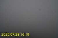 Img20250728_161939.jpg